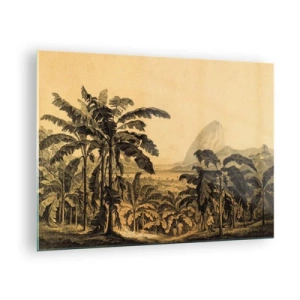Obraz na skle - Vintage ilustrace banánové plantáže se vzdálenou horou v pozadí. - 70x50cm - V koloniálním stylu - Moderní nástěnná dekorace do obývacího pokoje a ložnice ARTTOR