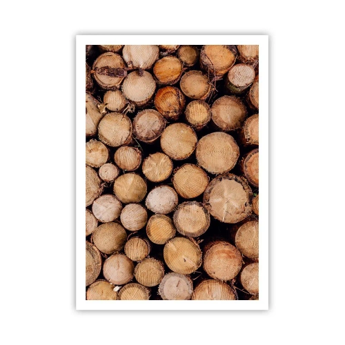 Plakát - Nový začátek - 70x100 cm