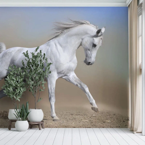 Fototapeta Samolepicí Deluxe Sticker - Nejkrásnější arabská pohádka - Kůň, Zvířata, Cval - 250x175 cm