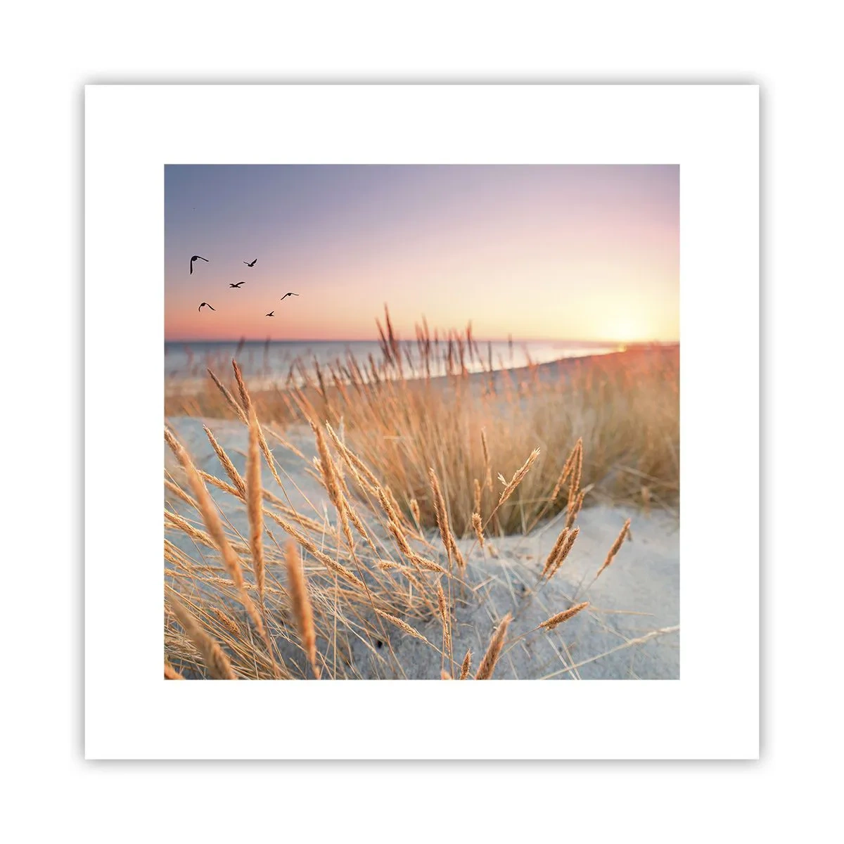 Plakát - Baltská ukolébavka - 30x30 cm