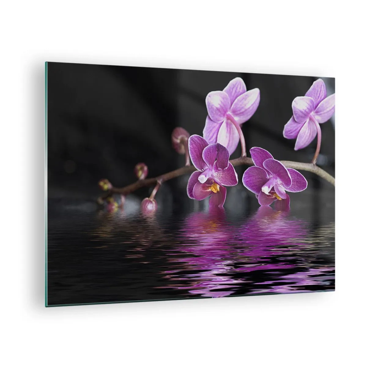 Obraz na skle - Fialové orchideje odrážející se ve vodě - 70x50cm - Liliový odraz krásy - Moderní nástěnná dekorace do obývacího pokoje a ložnice ARTTOR