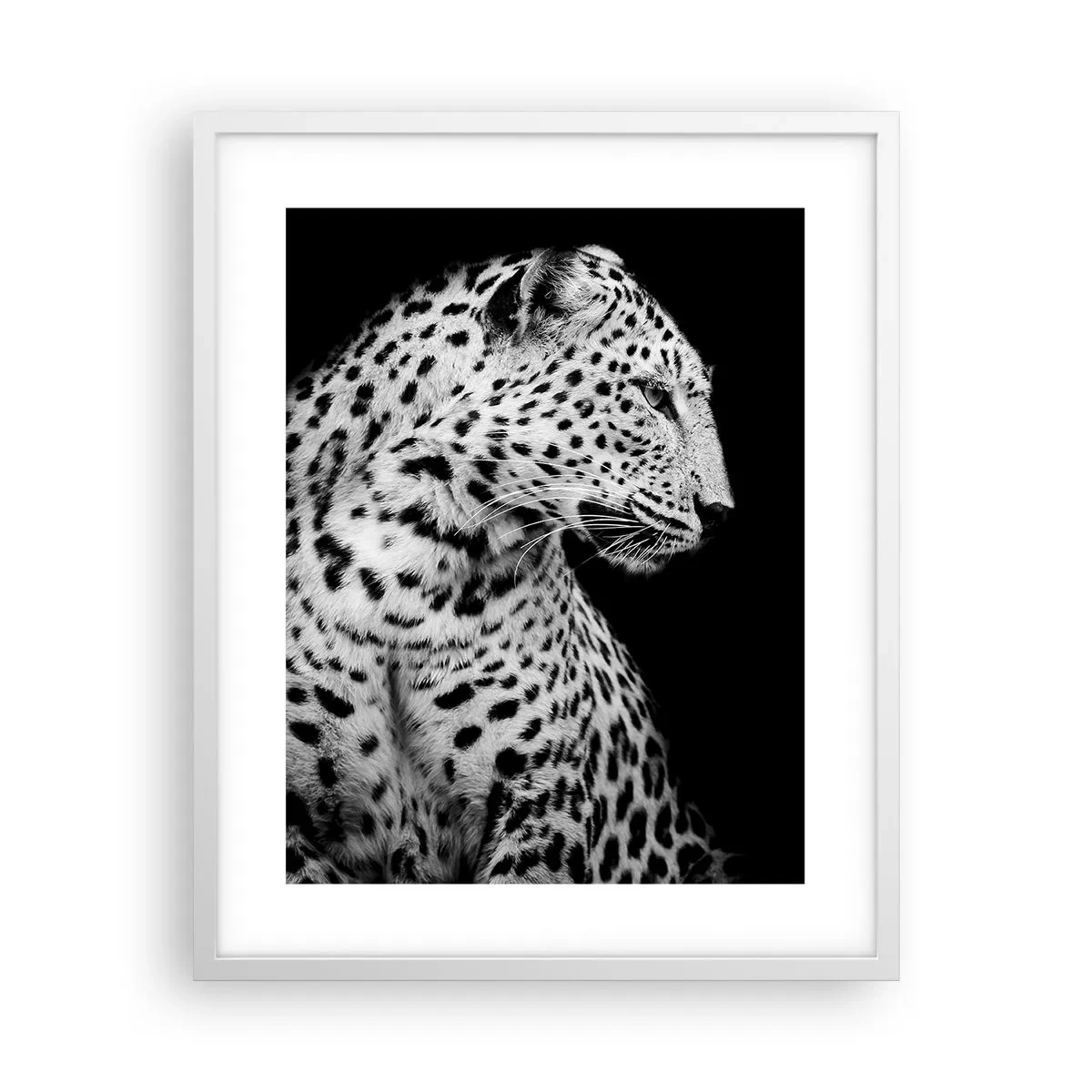 Plakát v bílém rámu - Pravý profil perfektní! - 40x50 cm