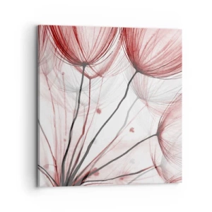 Obraz na plátně - Před odletem - 70x70 cm