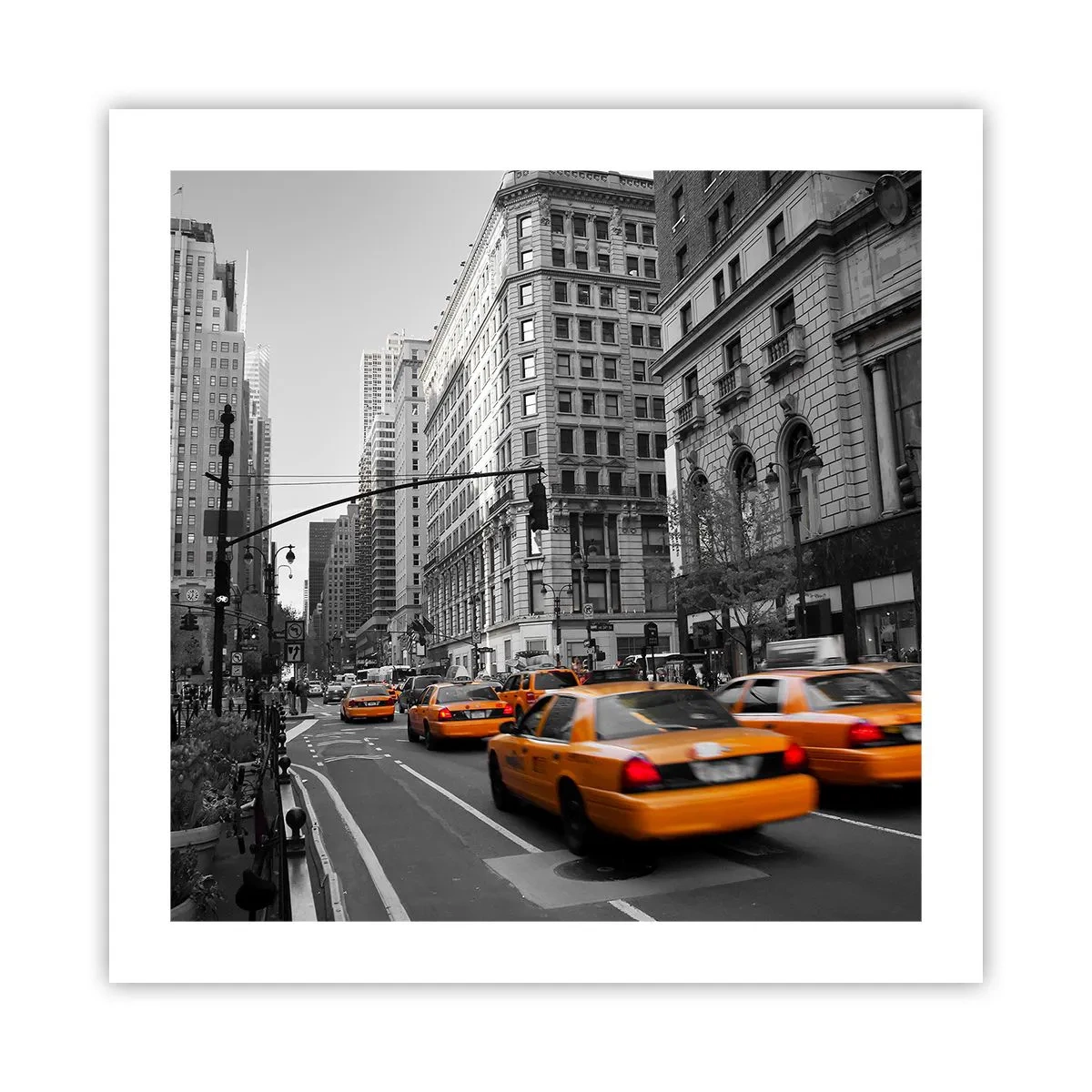 Plakát - Slunce velkoměsta - 50x50 cm