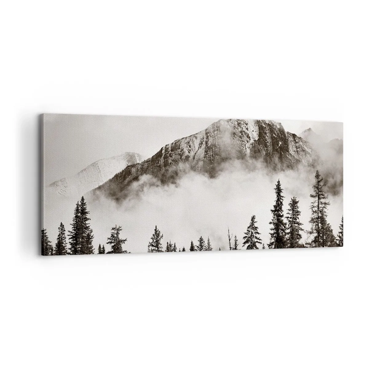 Obraz na plátně - Žulový panovník - 100x40 cm