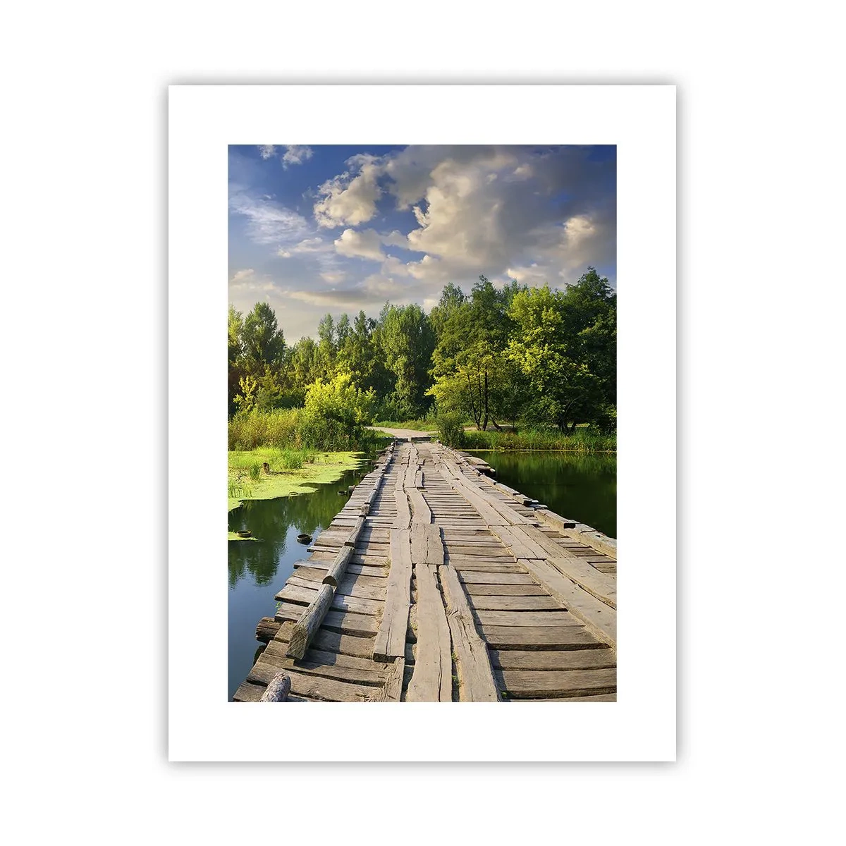 Plakát - Léto, léto všude - 30x40 cm
