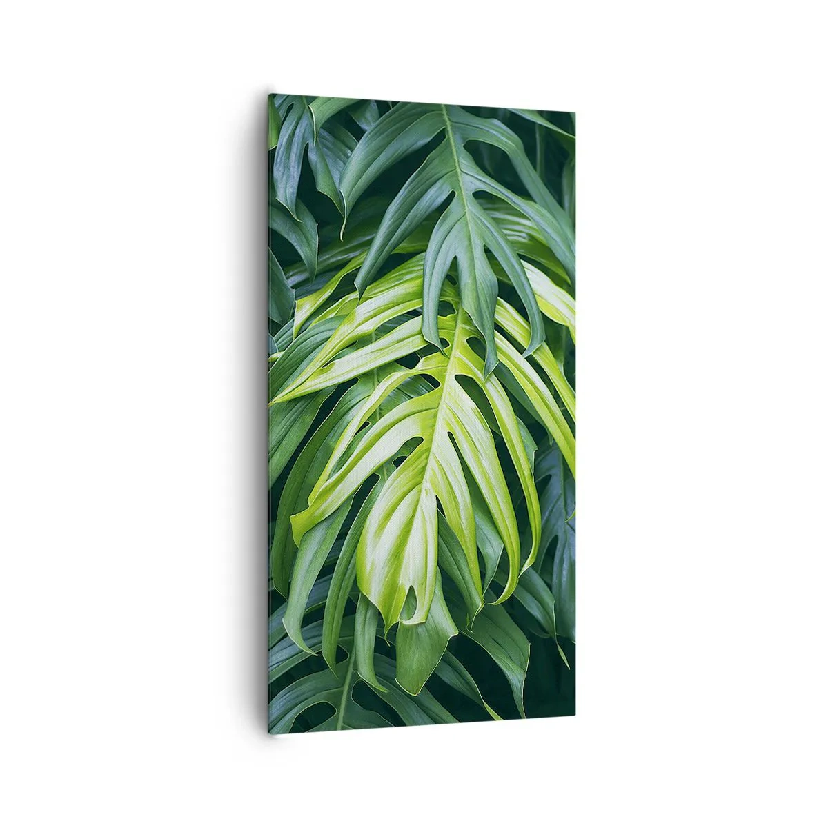 Obraz na plátně - Ponořit se do svěžesti - 65x120 cm