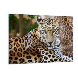 Obraz na skle - Divoký a klidný - 120x80 cm