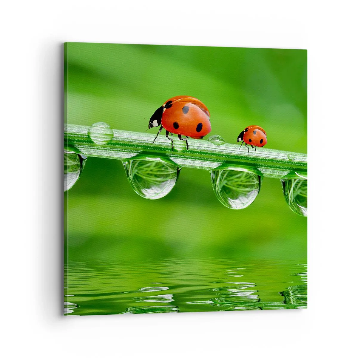 Obraz na plátně - Na cestách celé léto - 70x70 cm