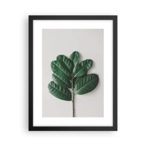 Plakát v černém rámu - Kresba samotné přírody - 30x40 cm