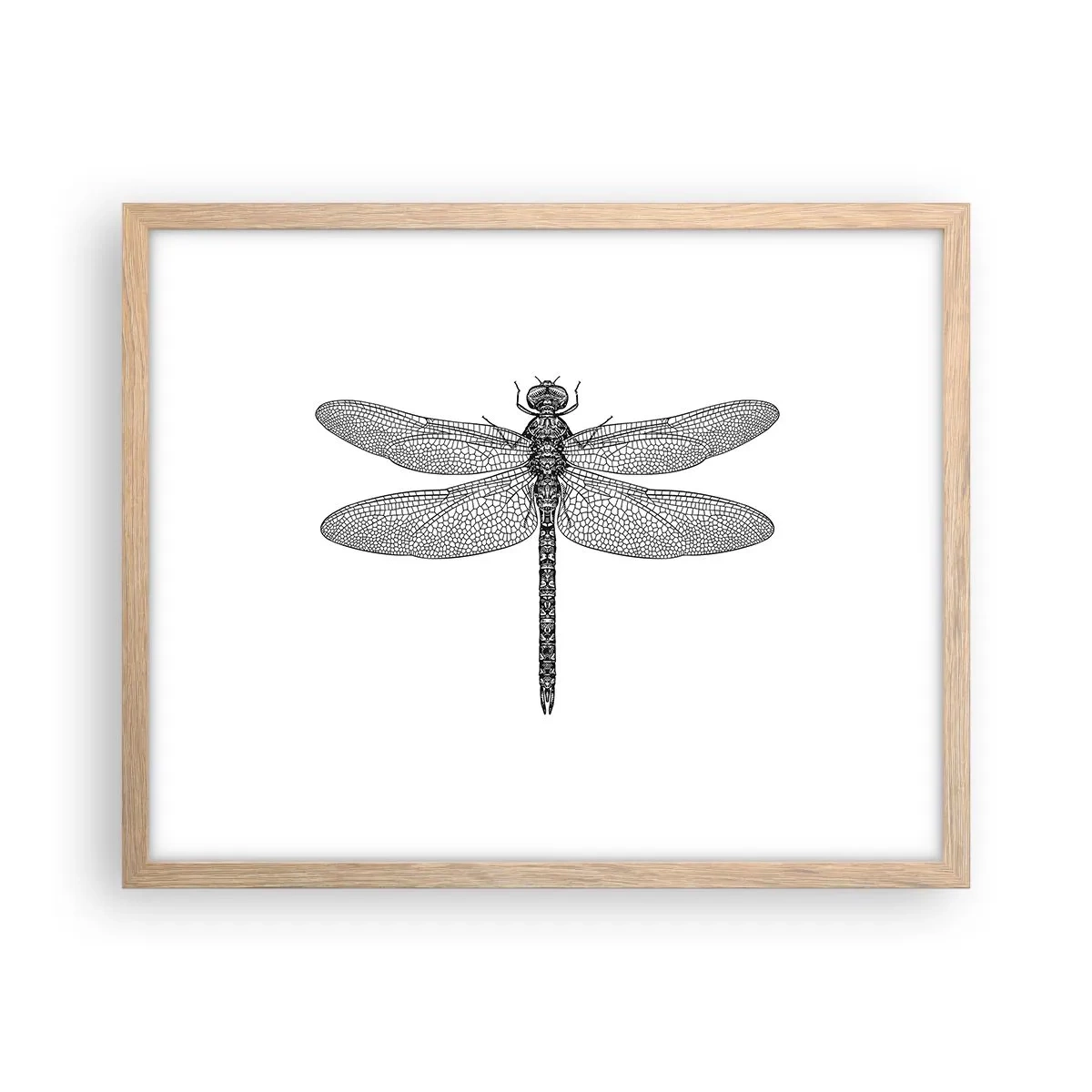 Plakát v rámu světlý dub - Přesnost přírody - 50x40 cm