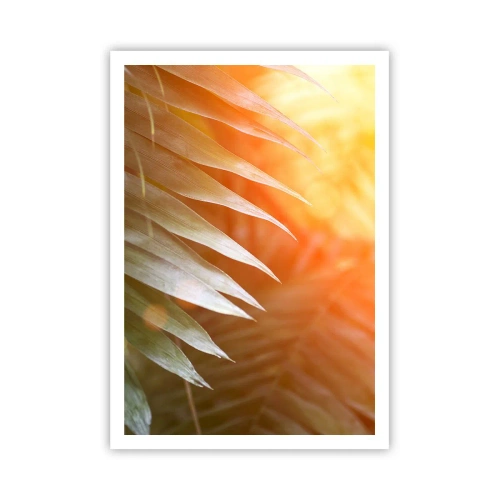 Plakát - Ráno v džungli - 70x100 cm
