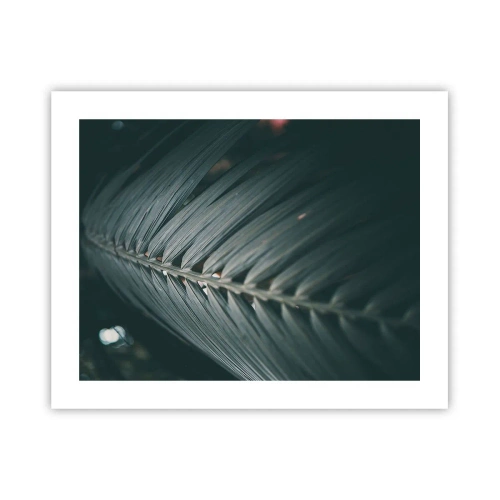 Plakát - Přesnost přírody - 50x40 cm