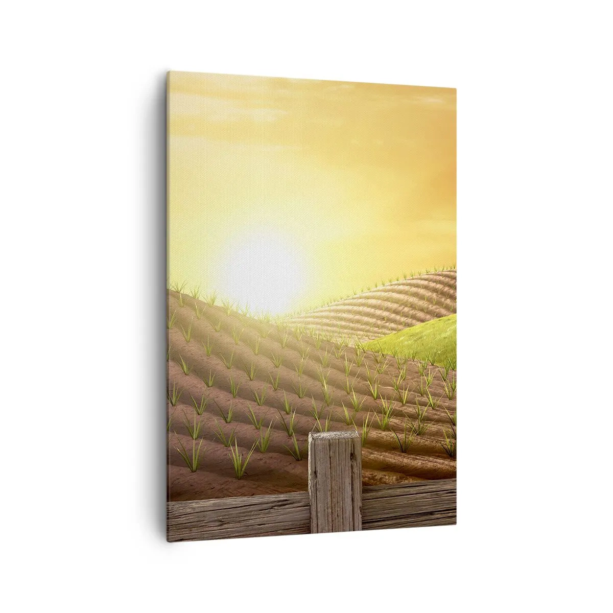 Obraz na plátně - Farma jako z pohádky - 70x100 cm