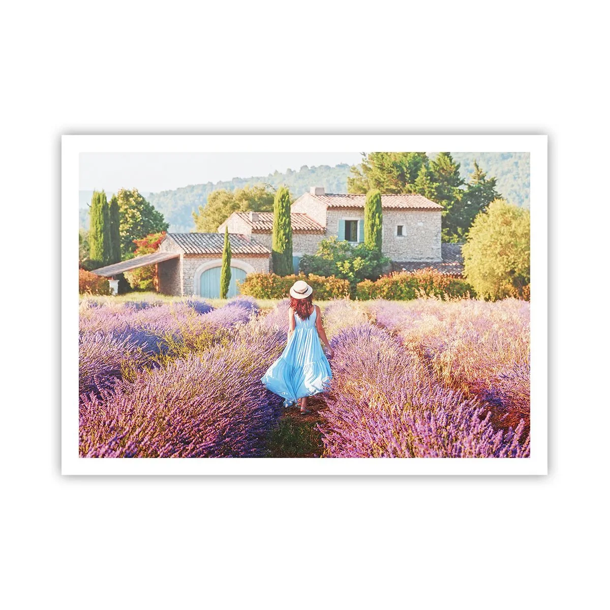 Plakát - Levandulová dívka - 100x70 cm