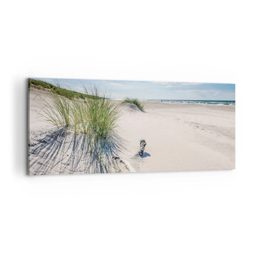 Obraz na plátně - Nejkrásnější? Baltská - 100x40 cm