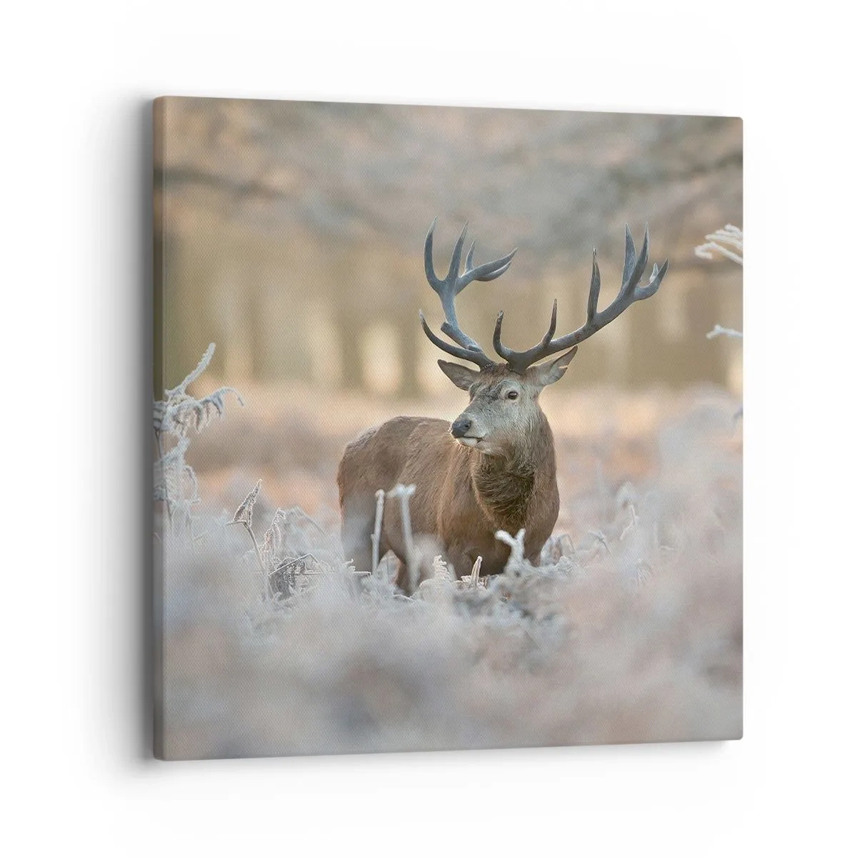 Obraz na plátně - Svěží ráno - 40x40 cm