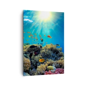 Obraz na plátně - Podvodní poklady - 70x100 cm