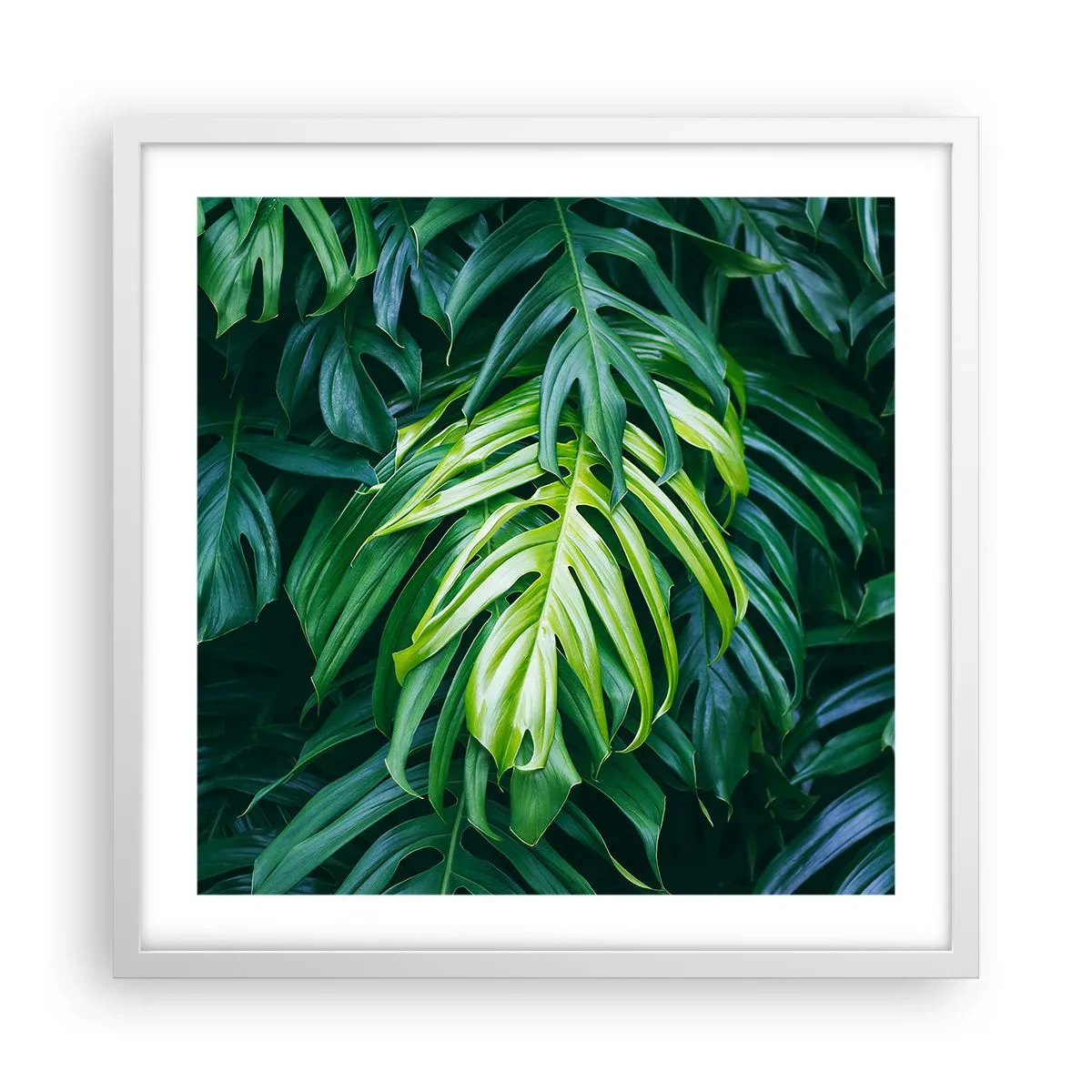 Plakát v bílém rámu - Ponořit se do svěžesti - 50x50 cm