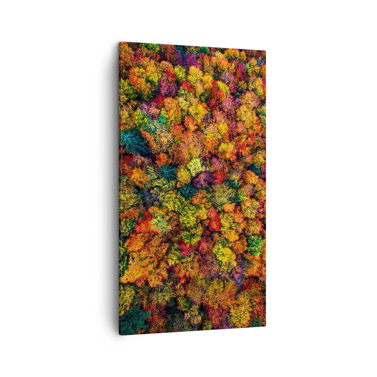 Obraz na plátně - Kytice podzimních stromů - 45x80 cm