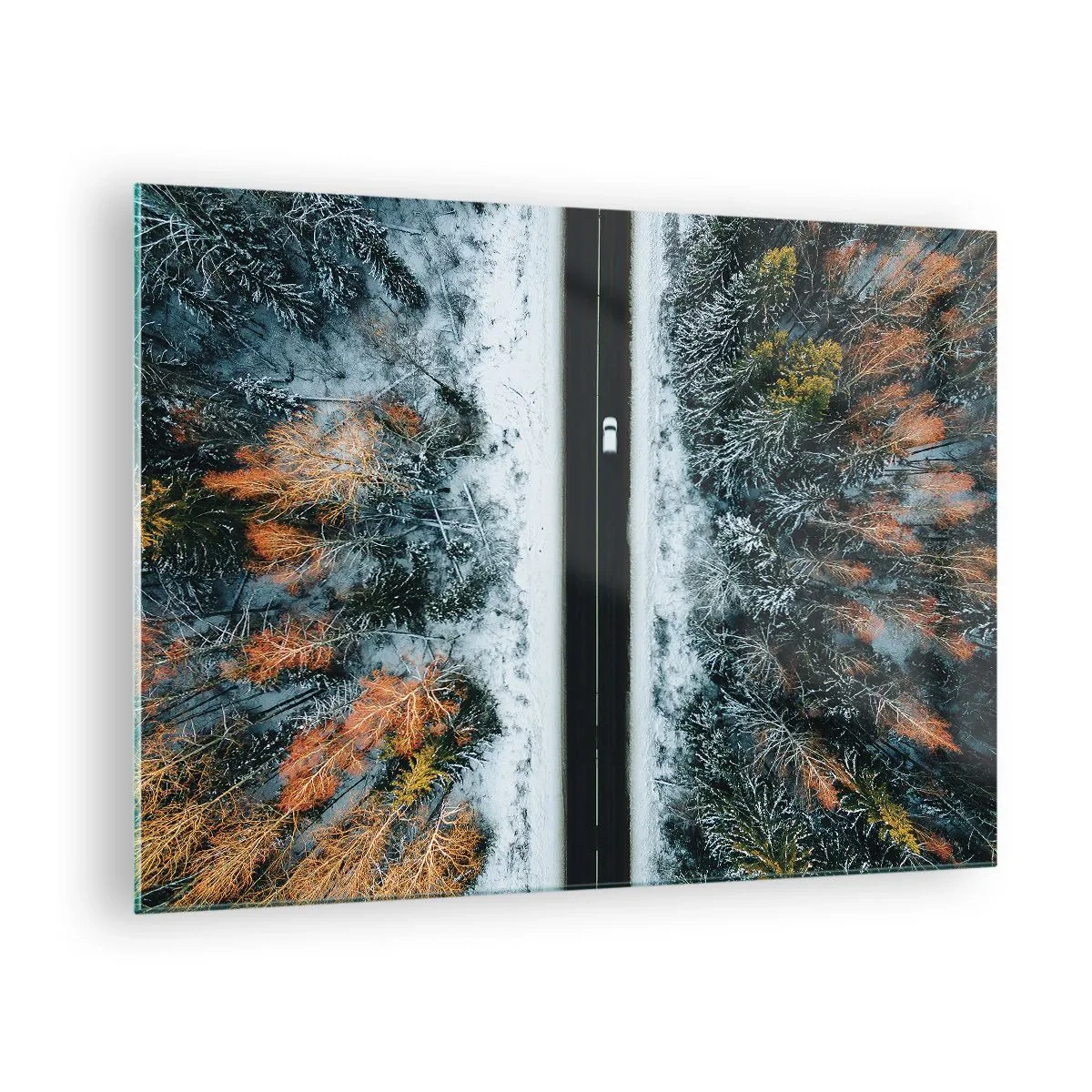 Obraz na skle - Zimní cesta zasněženým lesem s barevnými stromy - 70x50cm - Přes zimní les - Moderní nástěnná dekorace do obývacího pokoje a ložnice ARTTOR