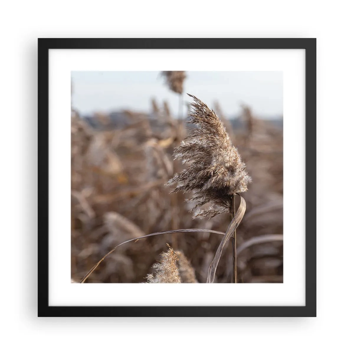 Plakát v černém rámu - Čas odletět s větrem - 40x40 cm