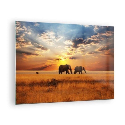 Obraz na skle - Sloni na africké savaně při západu slunce - 70x50cm - Rodinná procházka - Moderní nástěnná dekorace do obývacího pokoje a ložnice ARTTOR