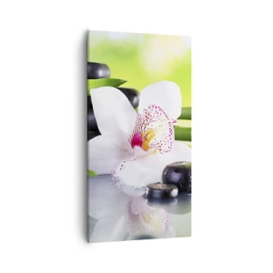 Obraz na plátně - Chladná svěžest - 55x100 cm