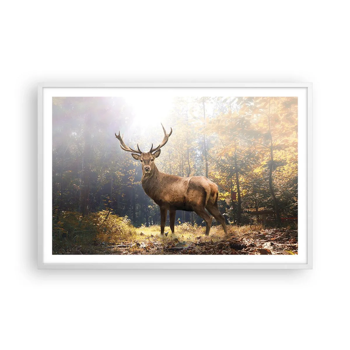 Plakát v bílém rámu - Plné důstojnosti - 91x61 cm