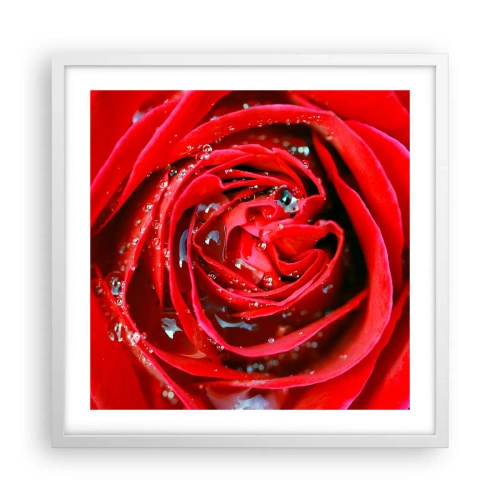 Plakát v bílém rámu - V kapkách rosy - 50x50 cm