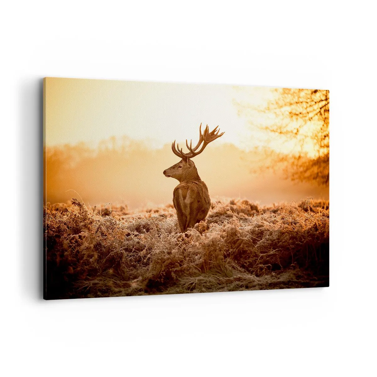 Obraz na plátně - Pán na panství - 100x70 cm