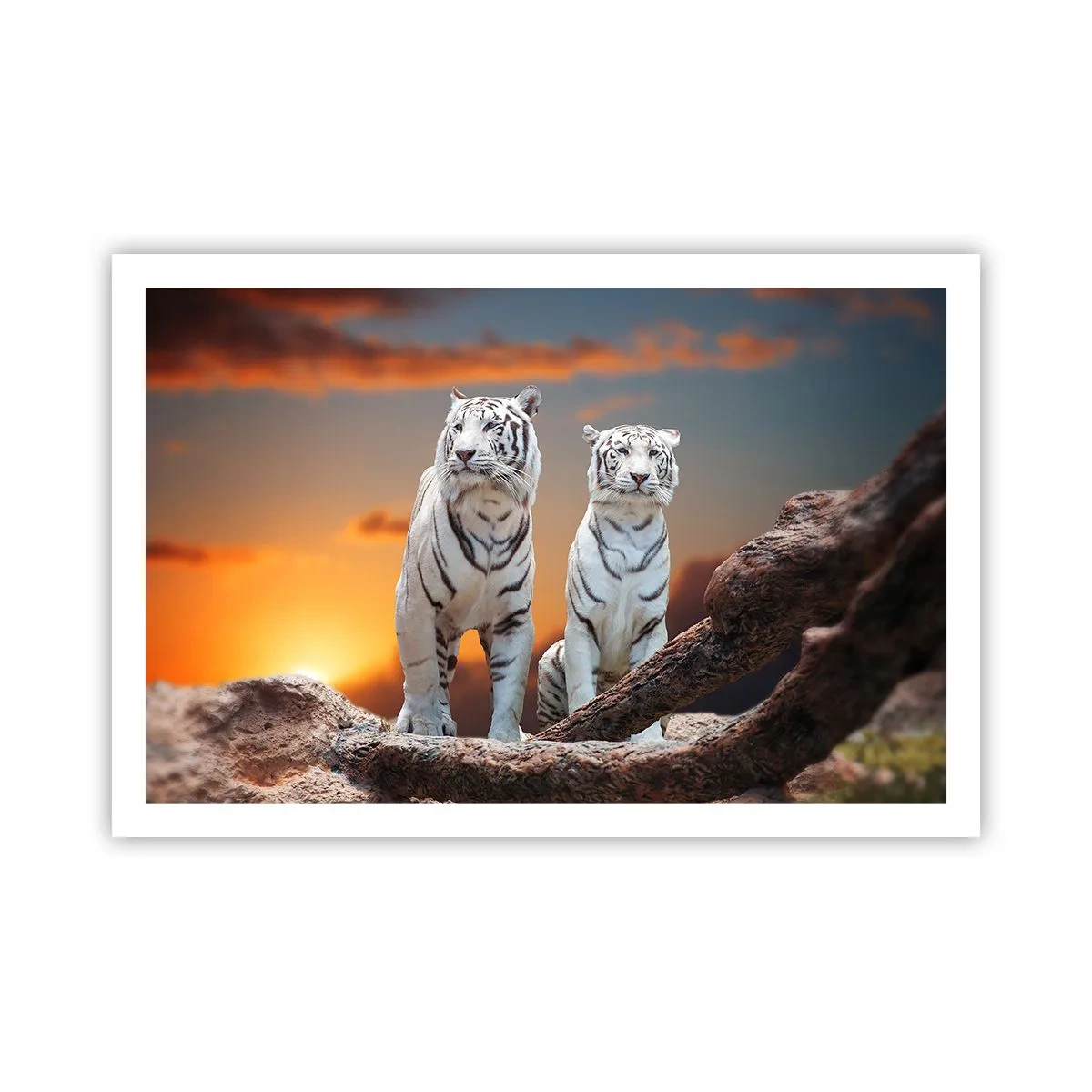 Plakát - Úplně jako v Narnii - 91x61 cm