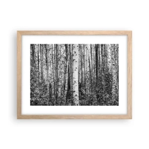 Plakát v rámu světlý dub - Březová kolonáda - 40x30 cm