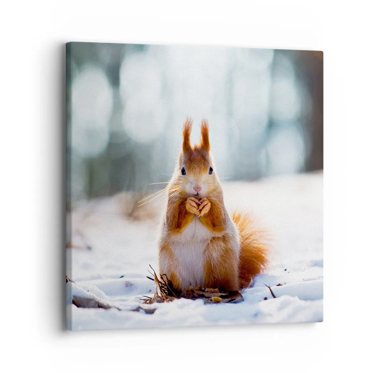 Obraz na plátně - Co se tak díváš? - 30x30 cm