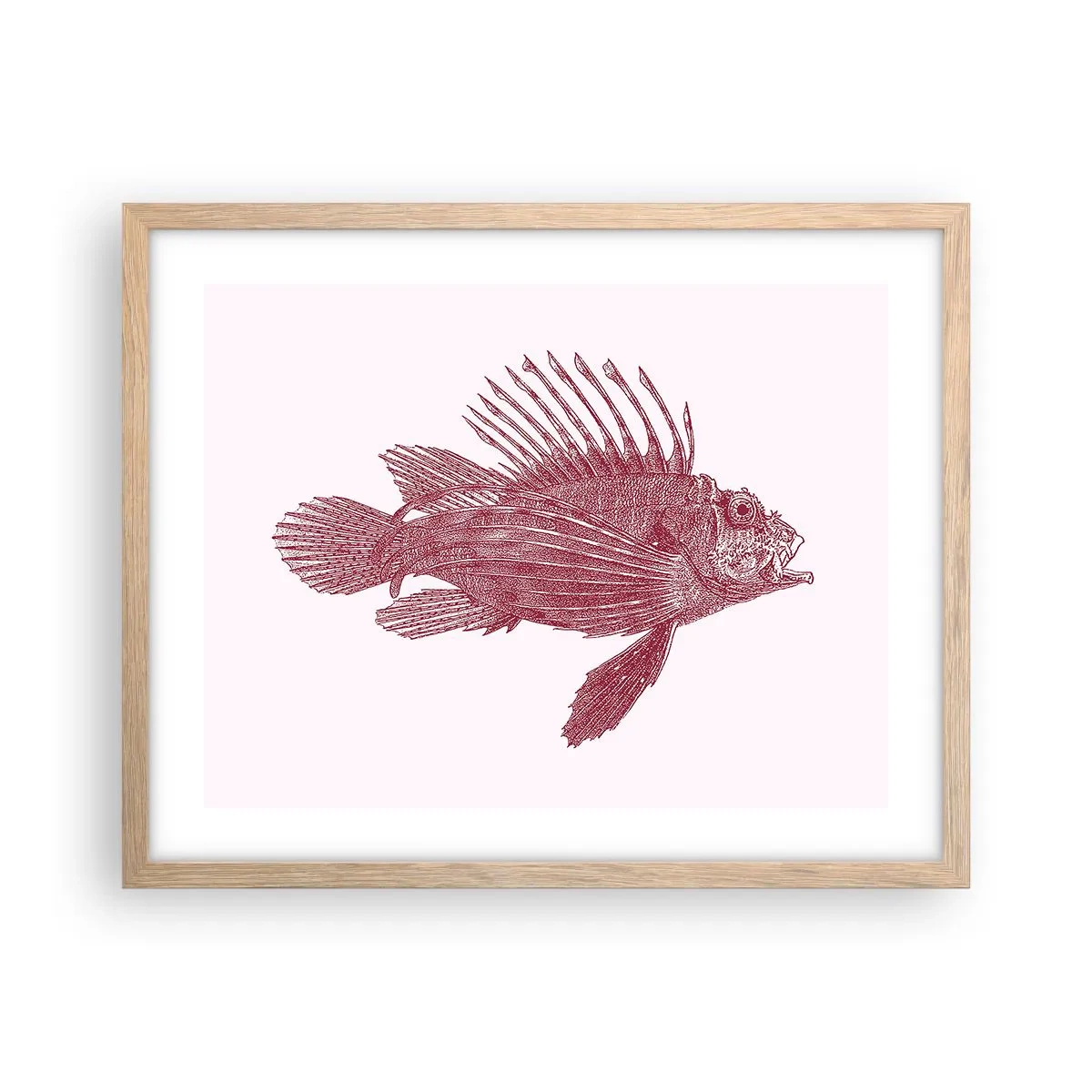 Plakát v rámu světlý dub - Obyvatelka exotických vod - 50x40 cm