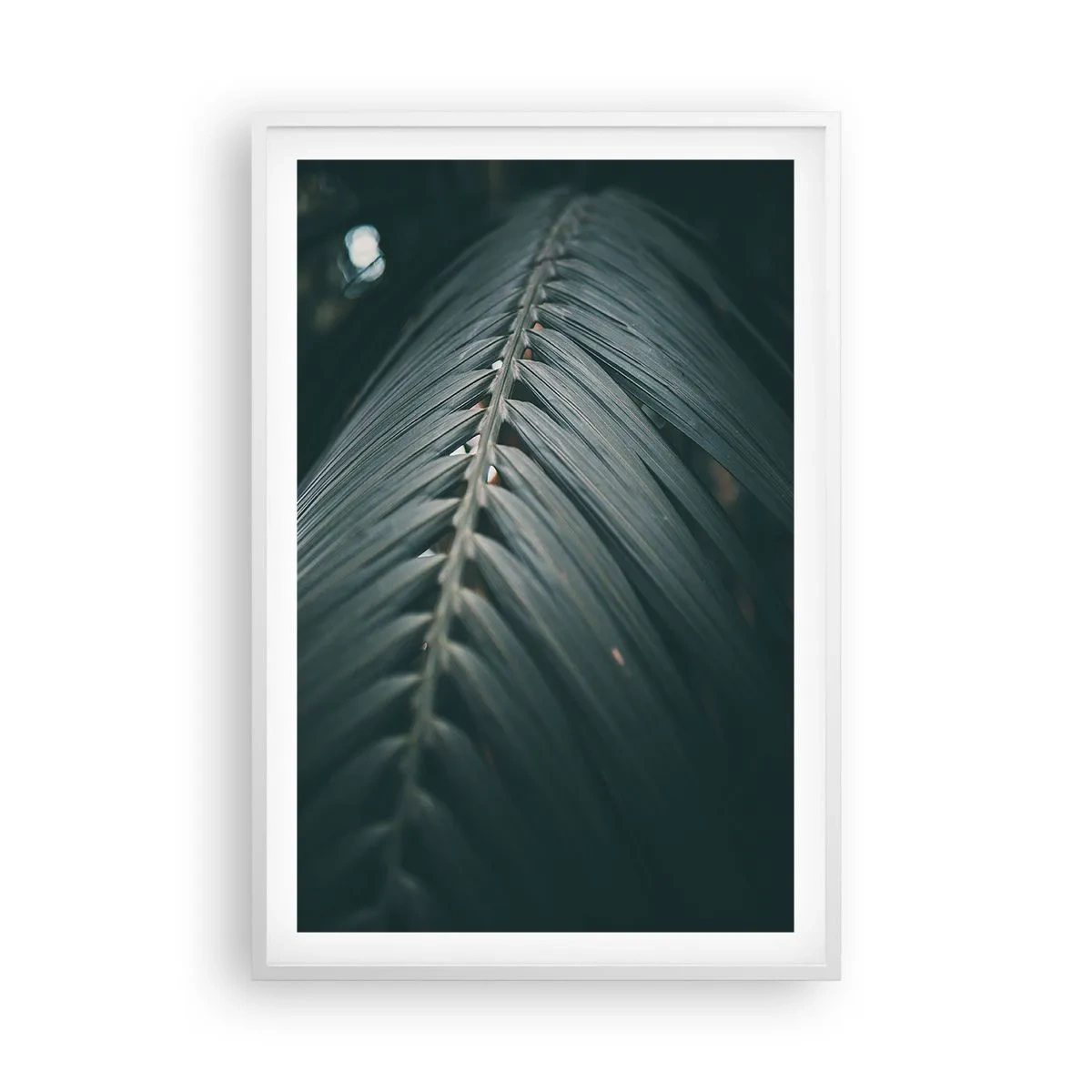 Plakát v bílém rámu - Přesnost přírody - 61x91 cm