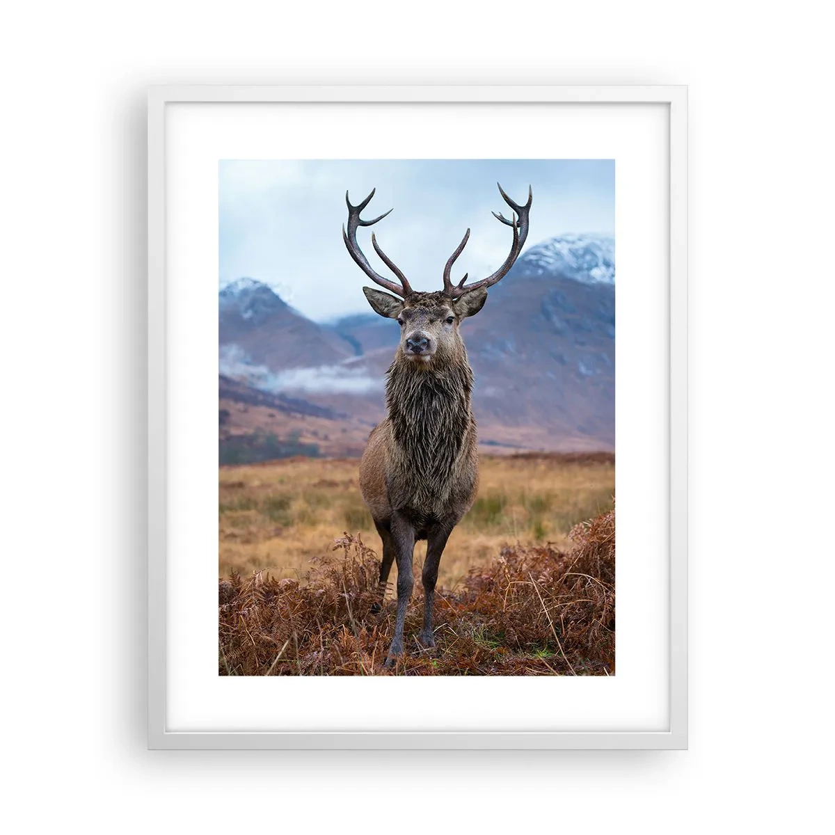 Plakát v bílém rámu - Na vlastní půdě - 40x50 cm