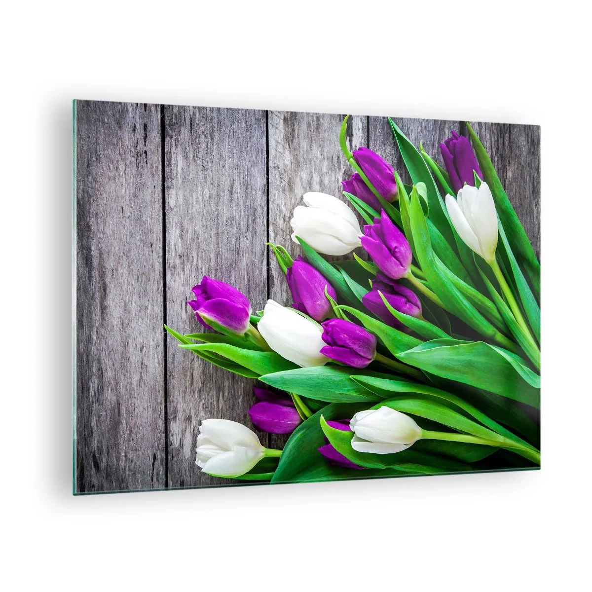 Obraz na skle - Kytice fialových a bílých tulipánů na dřevěném pozadí - 70x50cm - V den jarního svátku - Moderní nástěnná dekorace do obývacího pokoje a ložnice ARTTOR