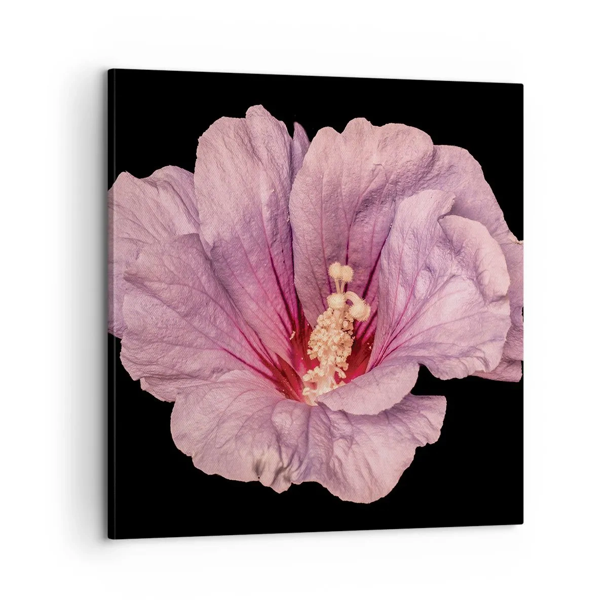 Obraz na plátně - Přímo do srdce - 60x60 cm