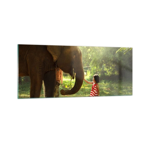 Obraz na skle - Síla přátelství - 100x40 cm