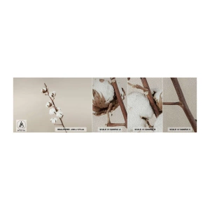 Vzor Fototapety Premium Sand - U zdroje měkkosti - Bavlněný květ, Příroda, Bavlna - 100x30 cm