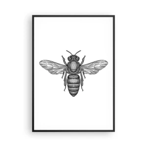 Plakát v černém rámu - Hmyzí portrét - 70x100 cm