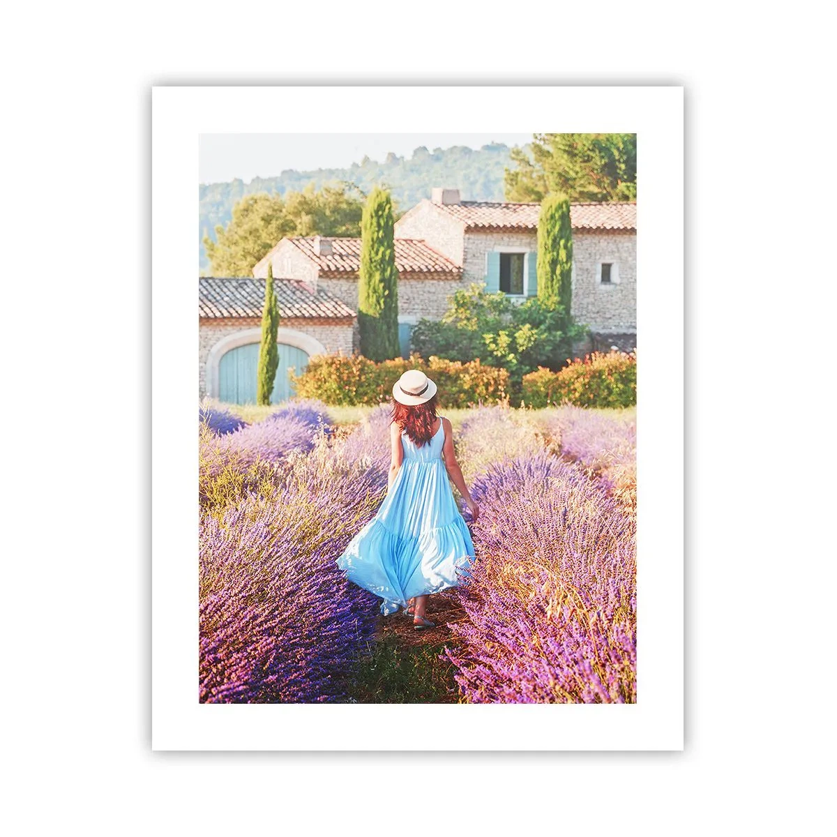 Plakát - Levandulová dívka - 40x50 cm