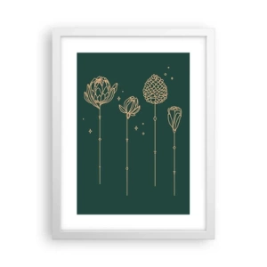 Plakát v bílém rámu - Bylinky - 30x40 cm