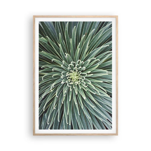 Plakát v rámu světlý dub - Zrození hvězdy - 70x100 cm