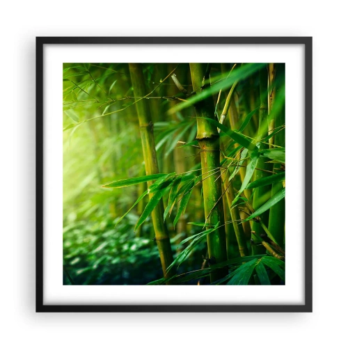 Plakát v černém rámu - Poznat samotnou zeleň - 50x50 cm