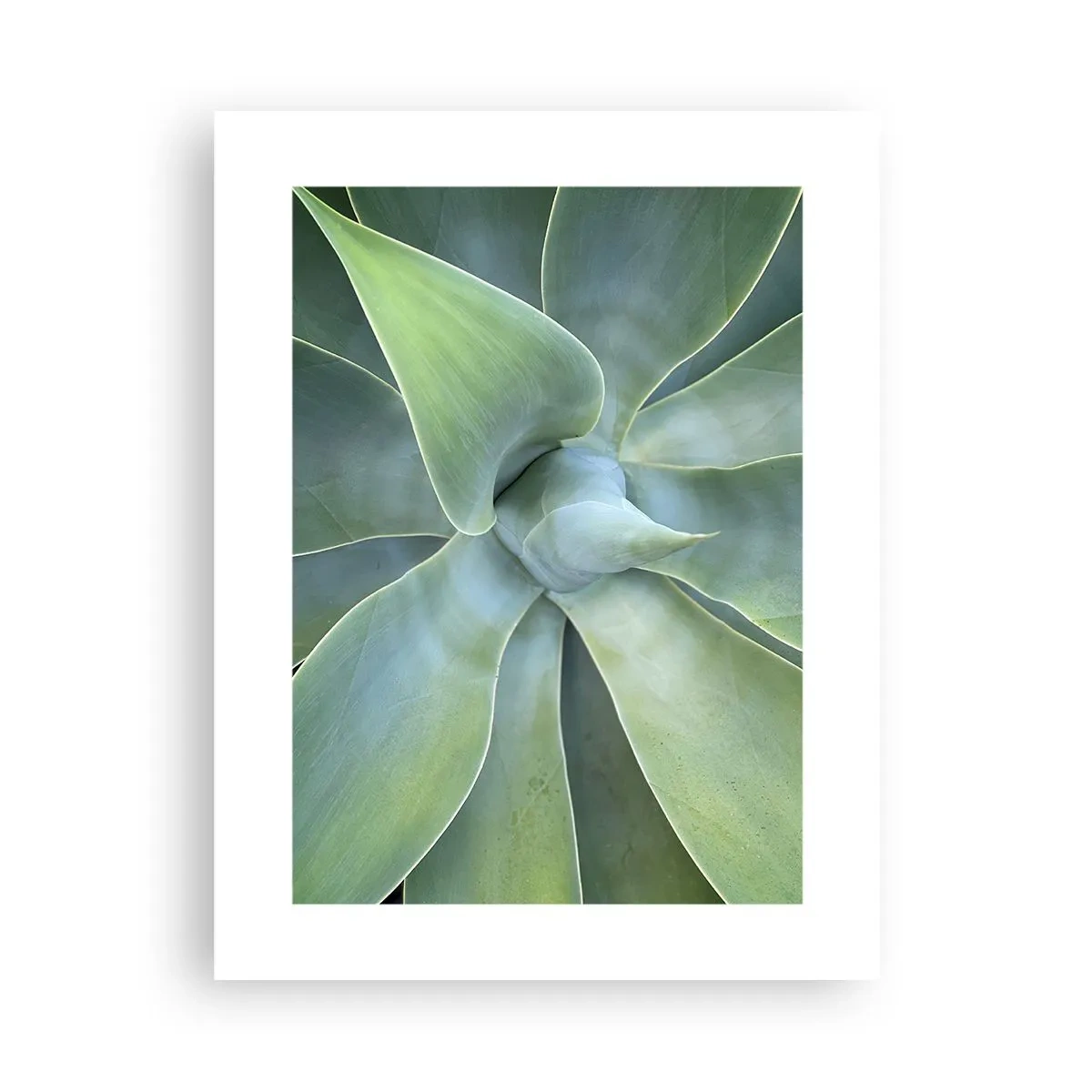 Plakát - Zrození zeleně - 30x40 cm