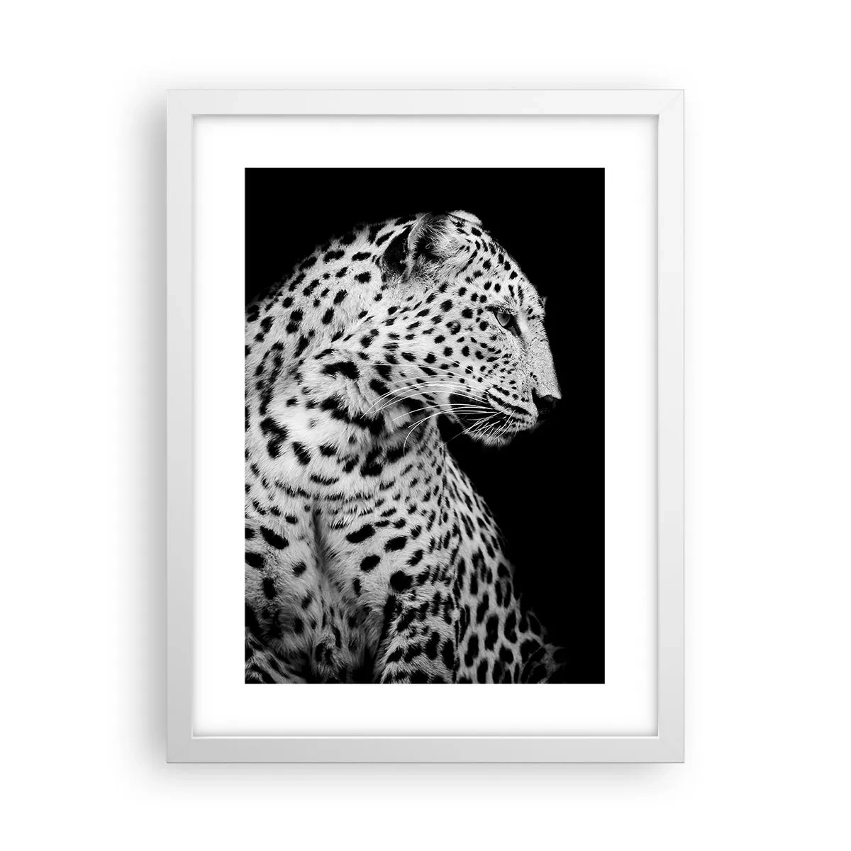 Plakát v bílém rámu - Pravý profil perfektní! - 30x40 cm