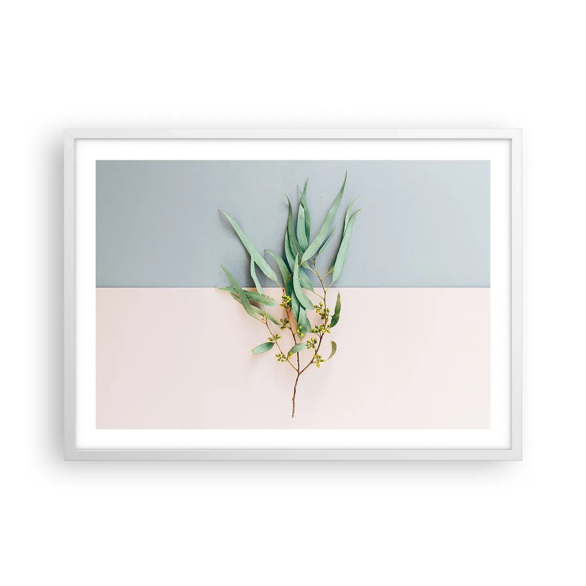 Plakát v bílém rámu - Pastelová jemnost - 70x50 cm