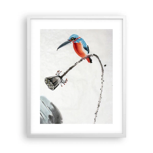 Plakát v bílém rámu - Život louky - 40x50 cm